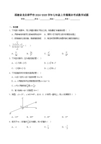 福建省龙岩漳平市2024-2025学年七年级上学期期末考试数学试卷(含解析)