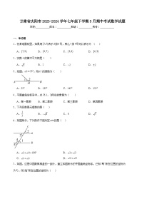 甘肃省庆阳市2023-2024学年七年级下学期5月期中考试数学试卷(含解析)