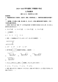 广东省茂名市电白区2025届九年级下学期期中考试数学试卷(含答案)