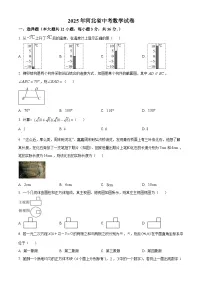 2025年河北省中考数学真题含答案