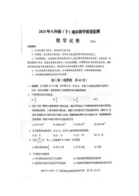 四川省眉山市2024-2025学年八年级下学期期末教学质量监测数学试卷