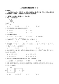 苏科版2025年新七年级数学暑假培优练开学摸底测试卷(一)(原卷版+解析)