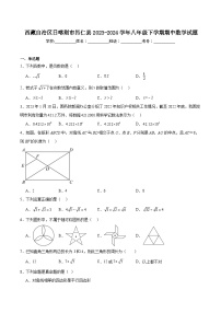 西藏日喀则市昂仁县2023-2024学年八年级下学期5月期中考试数学试卷(含解析)