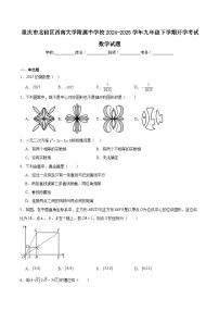 西南大学附属中学校2025届九年级下学期开学考试数学试卷(含解析)
