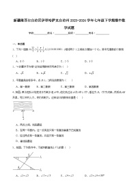 新疆伊犁哈萨克自治州2023-2024学年七年级下学期期中考试数学试卷(含解析)