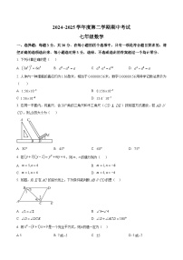 山东省枣庄市滕州市2024-2025学年七年级下学期4月期中数学试卷(答案不全)