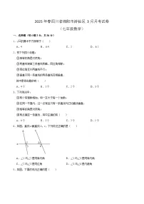四川省绵阳市游仙区2024-2025学年七年级下学期4月月考数学试卷(含答案)