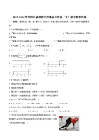 四川省绵阳市梓潼县2023-2024学年七年级下学期期末考试数学试卷(含答案)