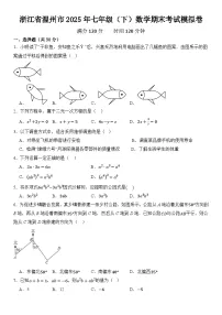 浙江省温州市2025年七年级（下）数学期末考试模拟卷 含答案