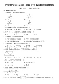 广东省广州市2025年七年级（下）数学期末考试模拟卷  含答案