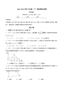 2024-2025学年沪科版八年级（初二）数学下册期末考试模拟卷04