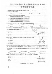 安徽省合肥市庐江县2023-2024学年七年级下学期6月期末数学试题