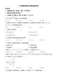 安徽省淮南市淮南实验中学2023-2024学年八年级下学期期末数学试题