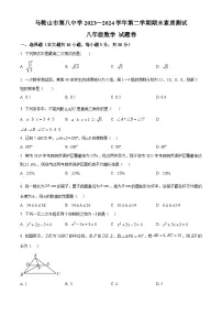 安徽省马鞍山市第八中学2023-2024学年八年级下学期期末数学试题