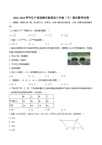 辽宁省抚顺市新宾县2023-2024学年八年级下学期期末考试数学试卷(含答案)