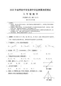 湖北省襄阳市老河口市2024-2025学年七年级下学期期中学业质量调研测试数学试卷(含答案)