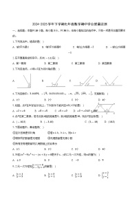 湖北省襄阳市宜城市五校2024-2025学年七年级下学期期中学业质量监测数学试卷(含答案）