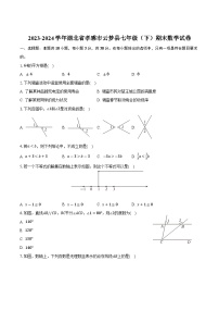 湖北省孝感市云梦县2023-2024学年七年级下学期期末考试数学试卷