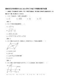 湖南省长沙市浏阳市2023-2024学年八年级下学期7月期末考试数学试卷(含答案)