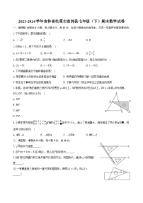 吉林省松原市前郭县2023-2024学年七年级下学期期末考试数学试卷(含答案)