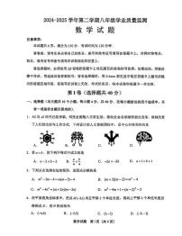 2025年济南市天桥区八年级数学下学期期末试卷及其答案