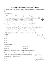 河南省驻马店实验中学2025届中考 数学五模试卷（含解析）