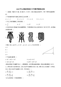云南省昭通市2025届中考 数学模拟试卷
