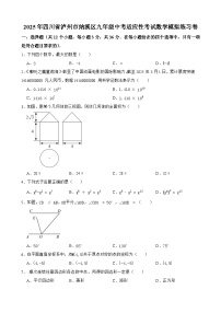 四川省泸州市纳溪区九年级2025届中考适应性考试 数学模拟练习卷
