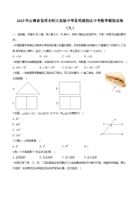 云南省昆明市师大实验中学昆明湖校区2025届中考 数学模拟试卷（九）（含解析）