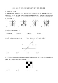 广东省深圳实验学校2023-2024学年七年级下学期期末考试数学试卷(含答案)