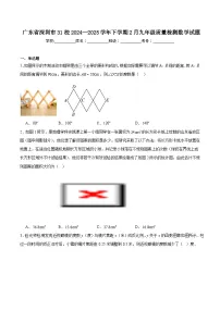 广东省深圳市31校2025届九年级下学期2月质量检测数学试卷(含解析)