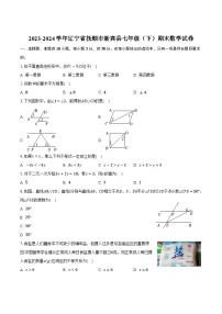 辽宁省抚顺市新宾县2023-2024学年七年级下学期期末考试数学试卷(含答案)