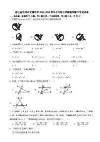 浙江省杭州市文澜中学2024-2025学年七年级下学期数学期中考试试卷