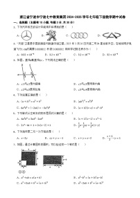 浙江省宁波市宁波七中教育集团2024-2025学年七年级下册数学期中试卷