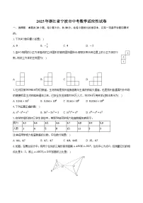 2025年浙江省宁波市中考数学适应性试卷-普通用卷