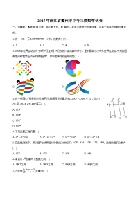 2025年浙江省衢州市中考三模数学试卷