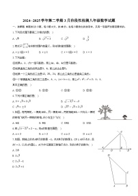 山东省德州市德城区三校联考2024-2025学年八年级下学期3月月考数学试卷(含答案)