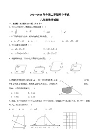 山东省德州市德城区三校联考2024-2025学年八年级下学期期中考试数学试卷