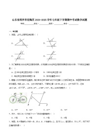 山东省菏泽市定陶区2024-2025学年七年级下学期期中考试数学试卷(含解析)
