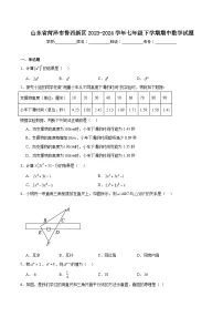 山东省菏泽市鲁西新区2023-2024学年七年级下学期期中考试数学试卷(含解析)