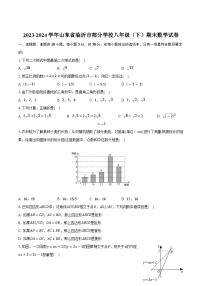 山东省临沂市部分学校2023-2024学年八年级下学期期末考试数学试卷(含答案)
