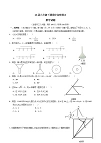 四川省眉山市仁寿县2025届九年级下学期4月期中考试数学试卷(含答案)