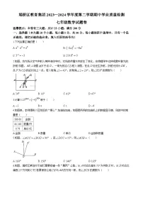 【七下BS数学】安徽省宿州市埇桥区教育集团2023-2024学年七年级下学期期中数学试题