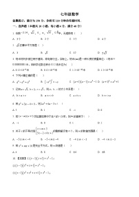 安徽省安庆市第四中学2023-2024学年七年级下学期期中数学试题