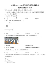 安徽省阜阳市太和县2023-2024学年七年级下学期期中数学试题