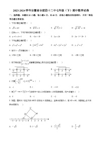 安徽省合肥市第四十二中学2023-2024学年七年级下学期期中数学试题