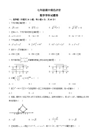 安徽省合肥市第四十五中学2023-2024学年七年级下学期期中数学试题