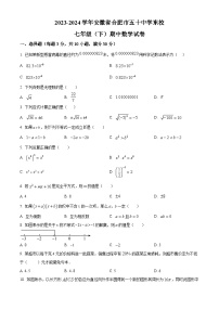 安徽省合肥市五十中学东校2023-2024学年七年级下学期期中数学试题