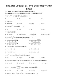 安徽省淮北市濉溪县孙疃中心学校2023-2024学年七年级下学期期中数学试题