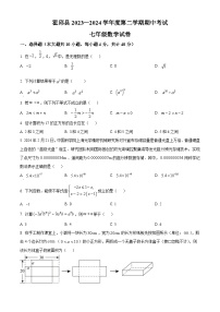 安徽省六安市霍邱县2023-2024学年七年级下学期期中数学试题